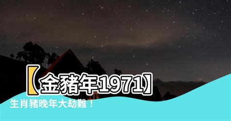 1971屬豬|【1971生肖】1971生肖豬運勢大解析！十豬九苦是真的嗎？